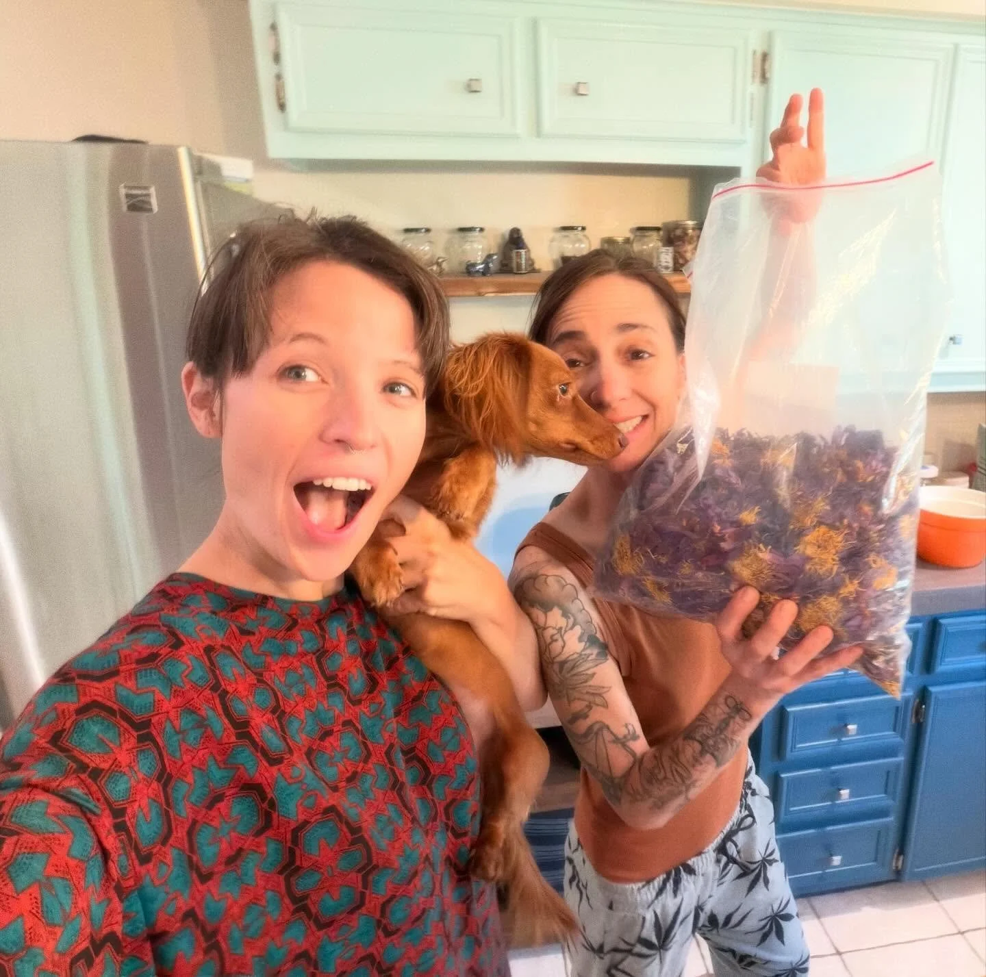 BLUE LOTUS 🪷 DREAMS ARE THE BEST!