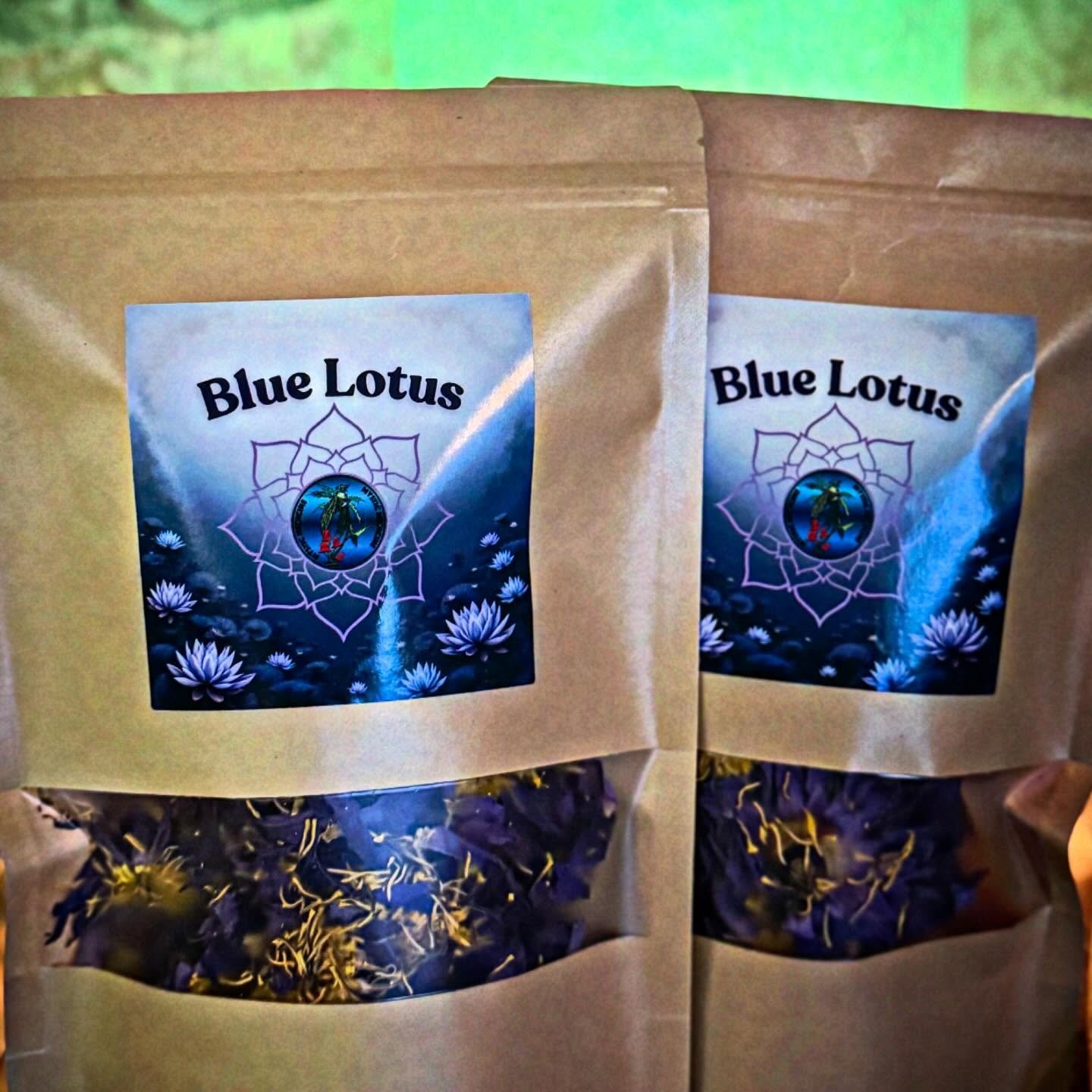 Dive into that Dream State with the Bliss of Blue Lotus 🪷 @squarerut.kavabar