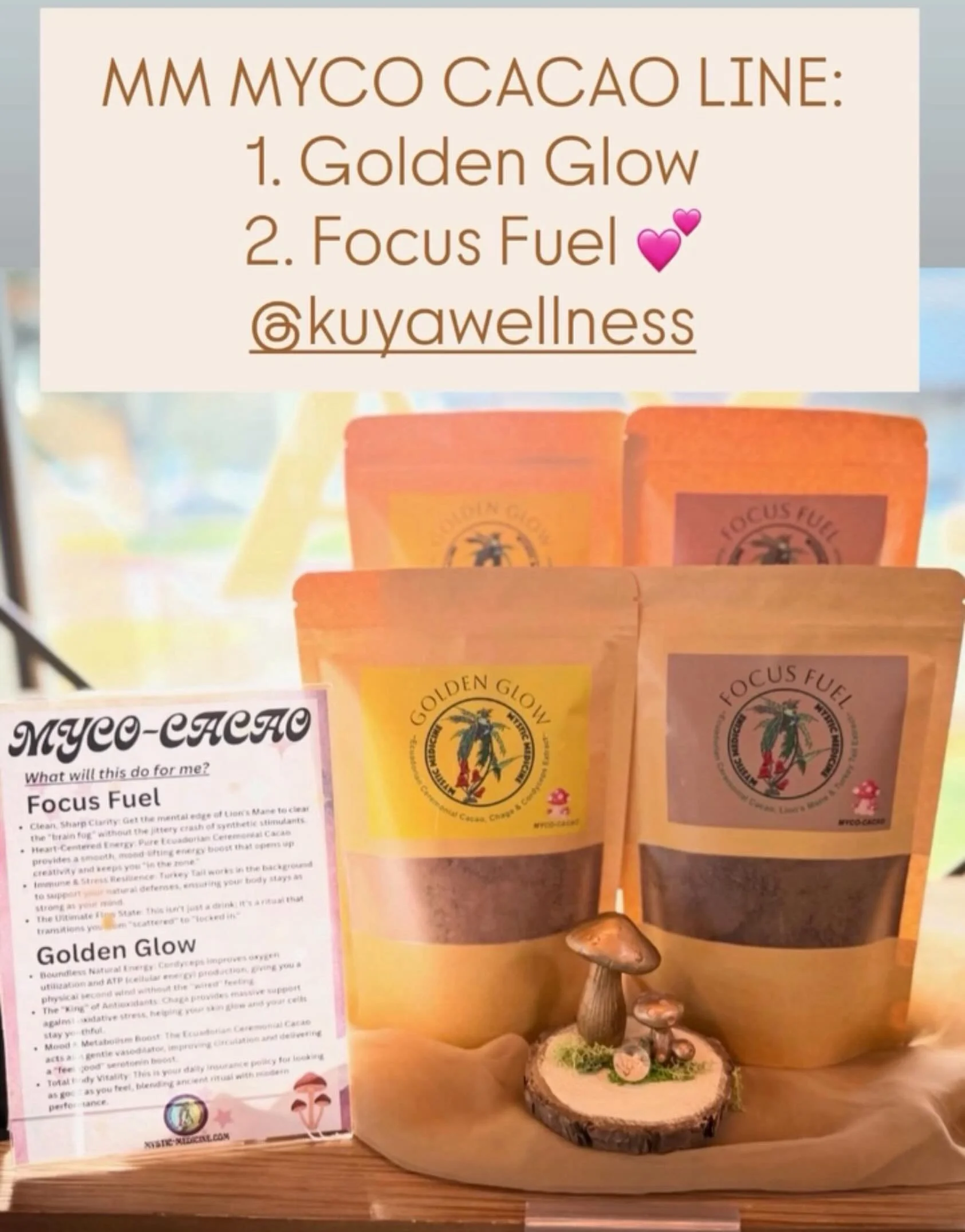 MYSTIC MEDICINE MYCO CACAO consists of finely ground, cacao and medicinal functional mushrooms. You can purchase these at @kuyawellness