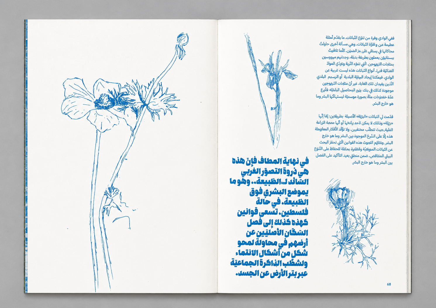 scan_18.png