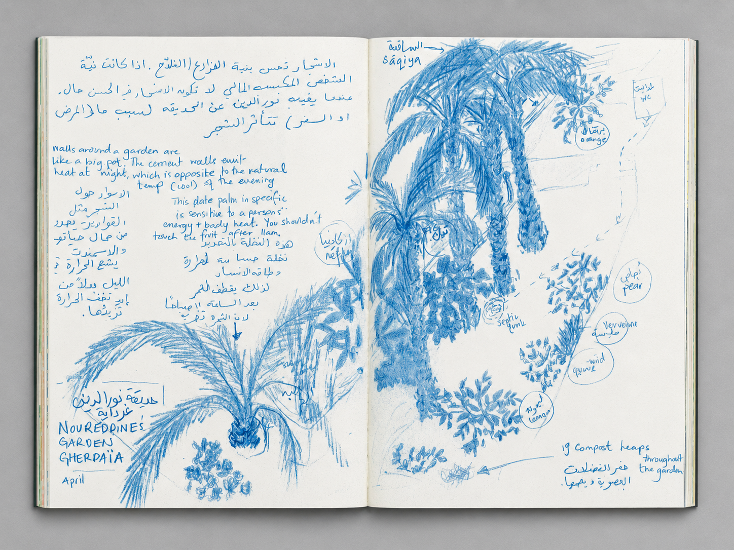 scan_03.png