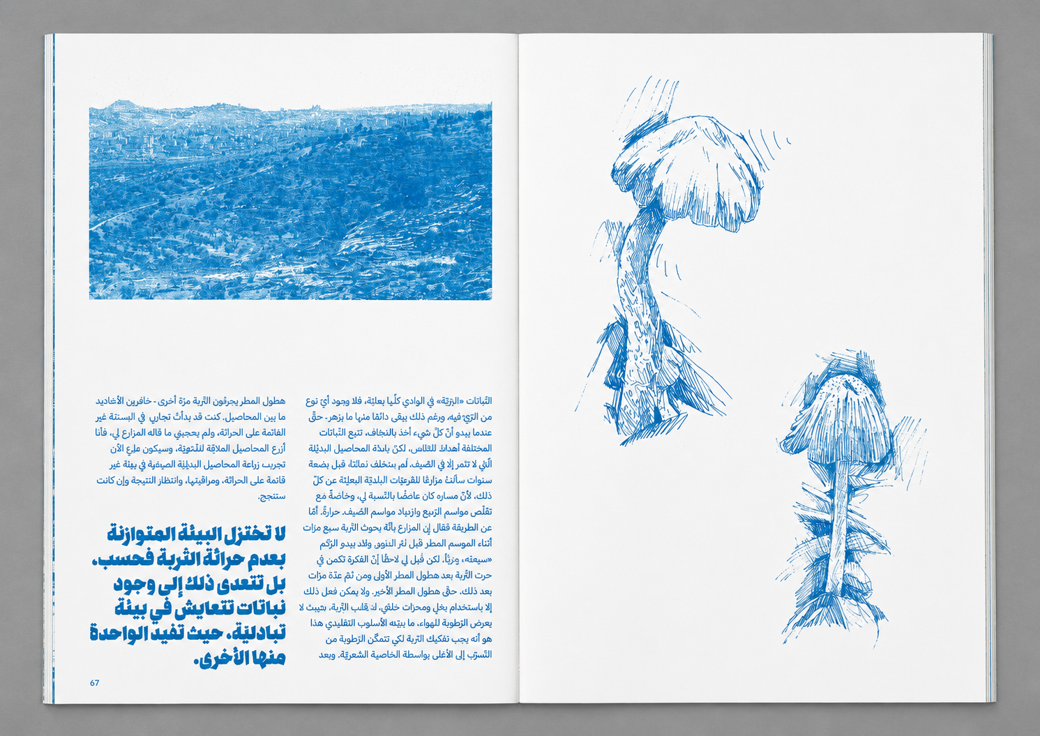 scan_11.png
