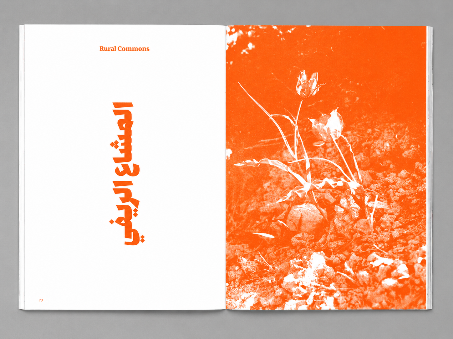 scan_12.png