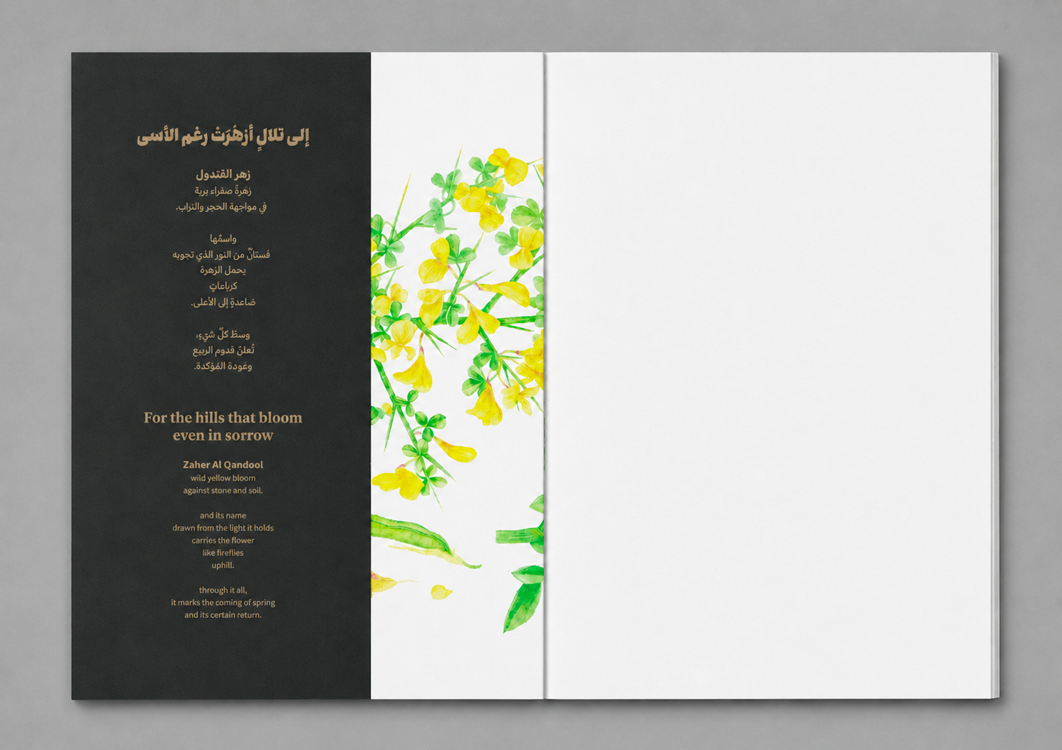scan_00_POSTER _INSERT.png