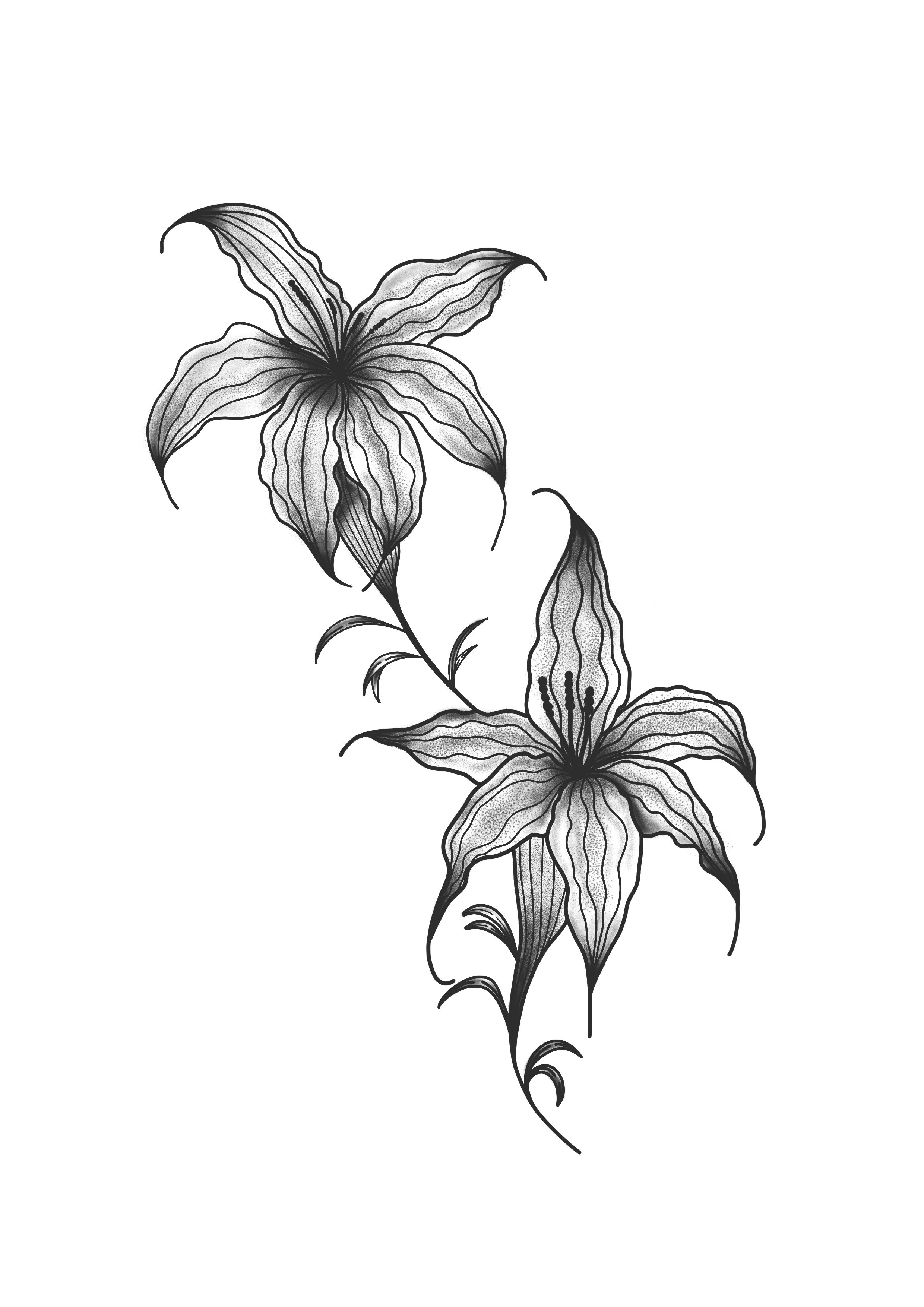 Plants and florals
