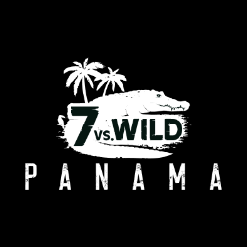 Design ohne Titel.png