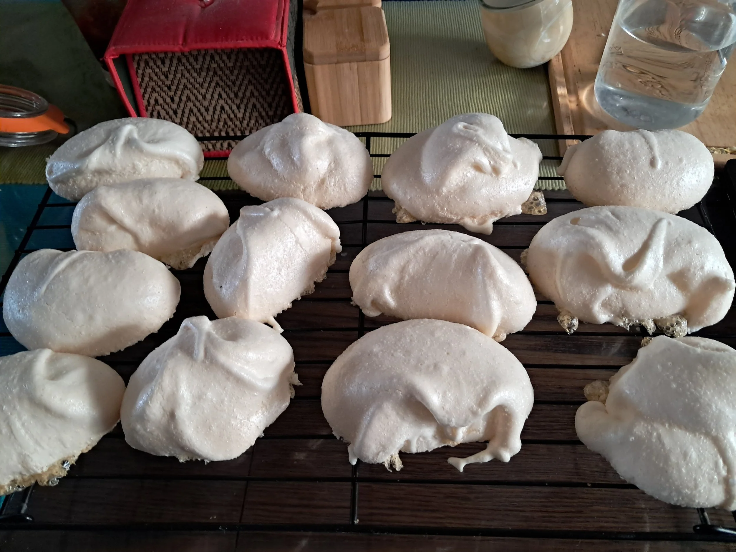 seed-to-spoon (1).jpg