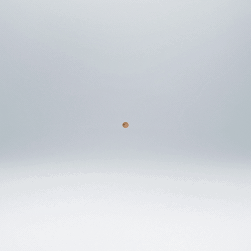 WW-Hedonics 2012_11_19 v15 final master_4.gif