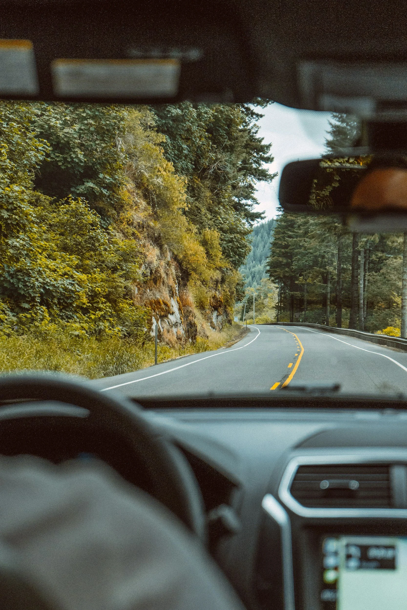 View from inside a car driving along a winding road through a forested mountainous area with trees on both sides.