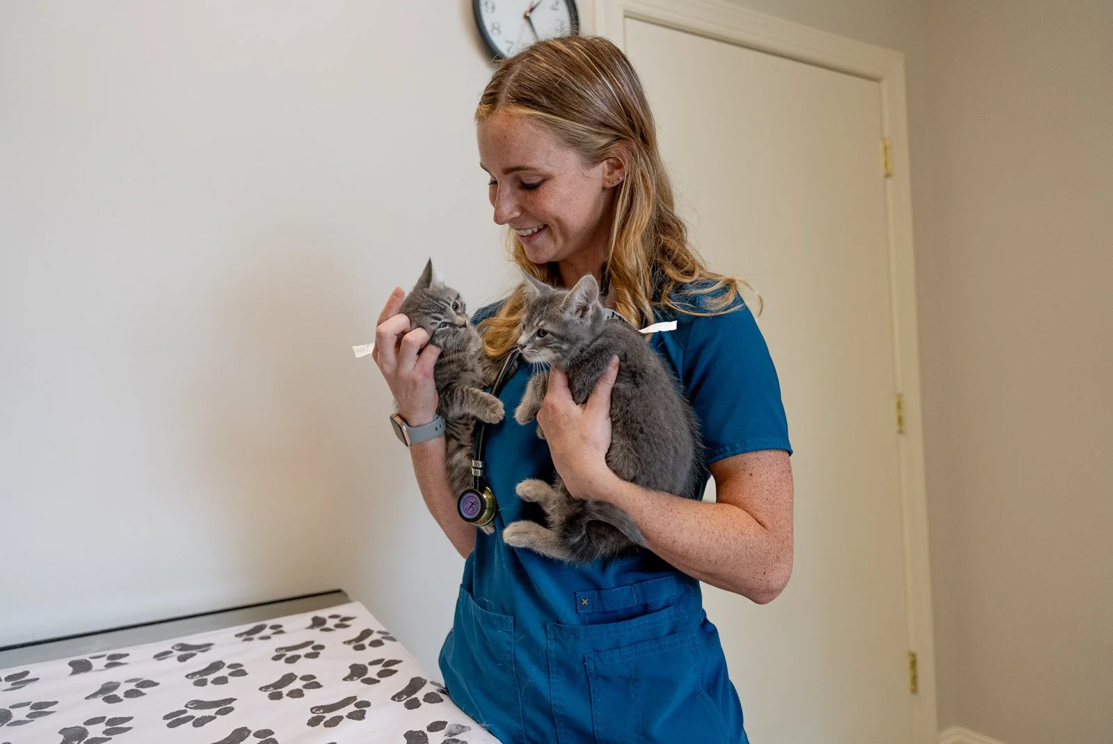 There’s More Happening Here Than Just Pet Care