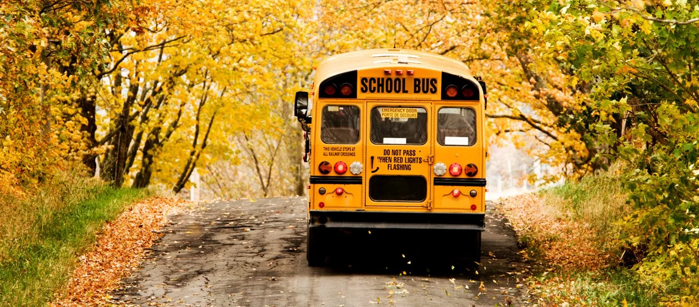 A yellow school bus driving down a tree-lined street during autumn with yellow and orange leaves.