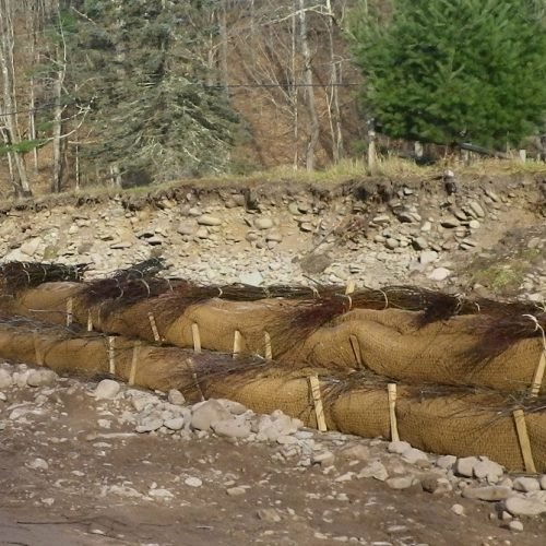 Soil lift – 2nd layer
