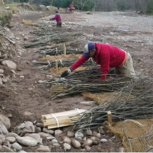 Willow Installation