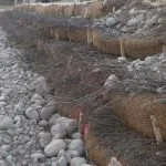 Stable stream bank