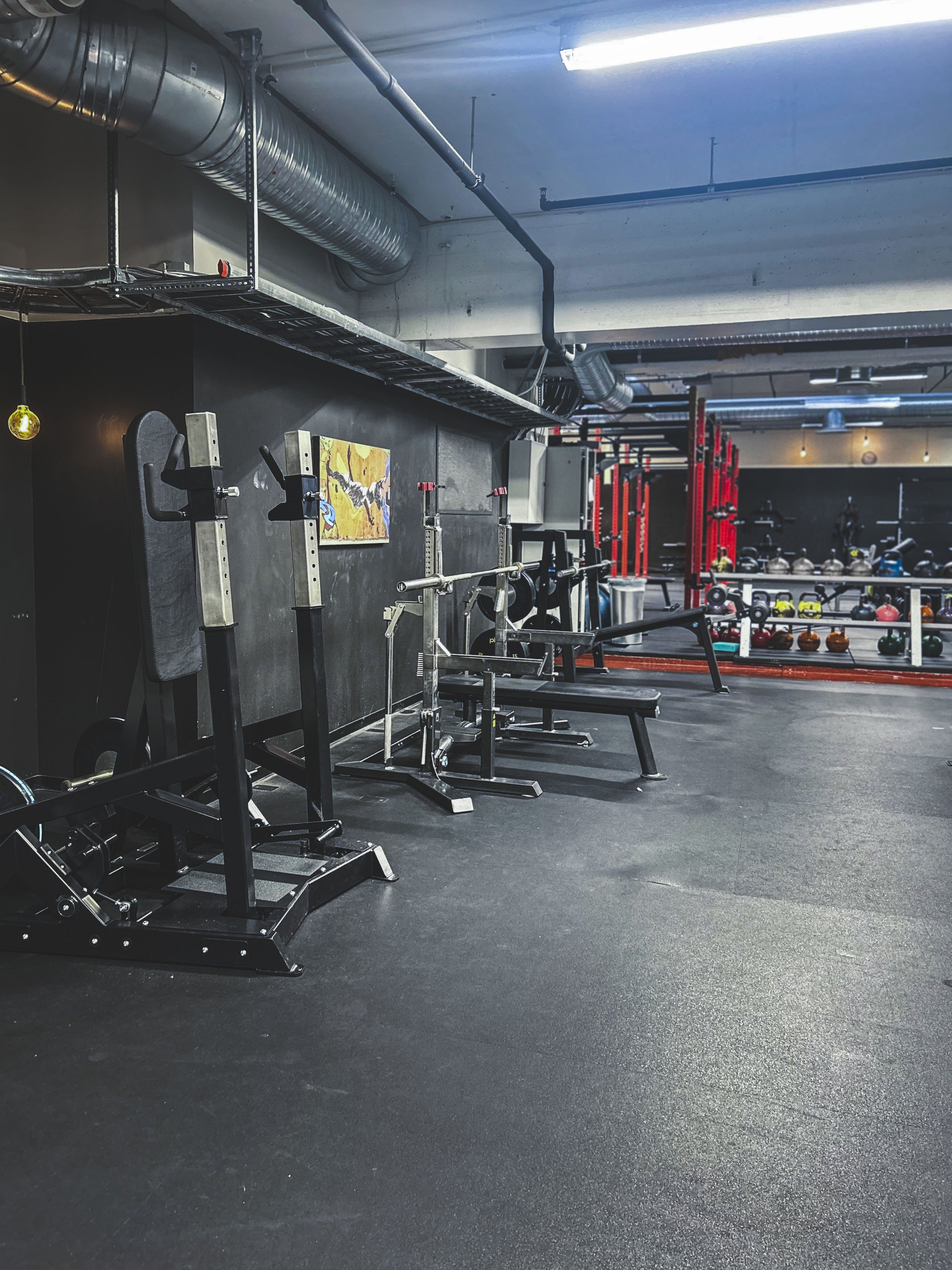 Stående brystpress fra Watson, Olympisk benkpress fra Eleiko