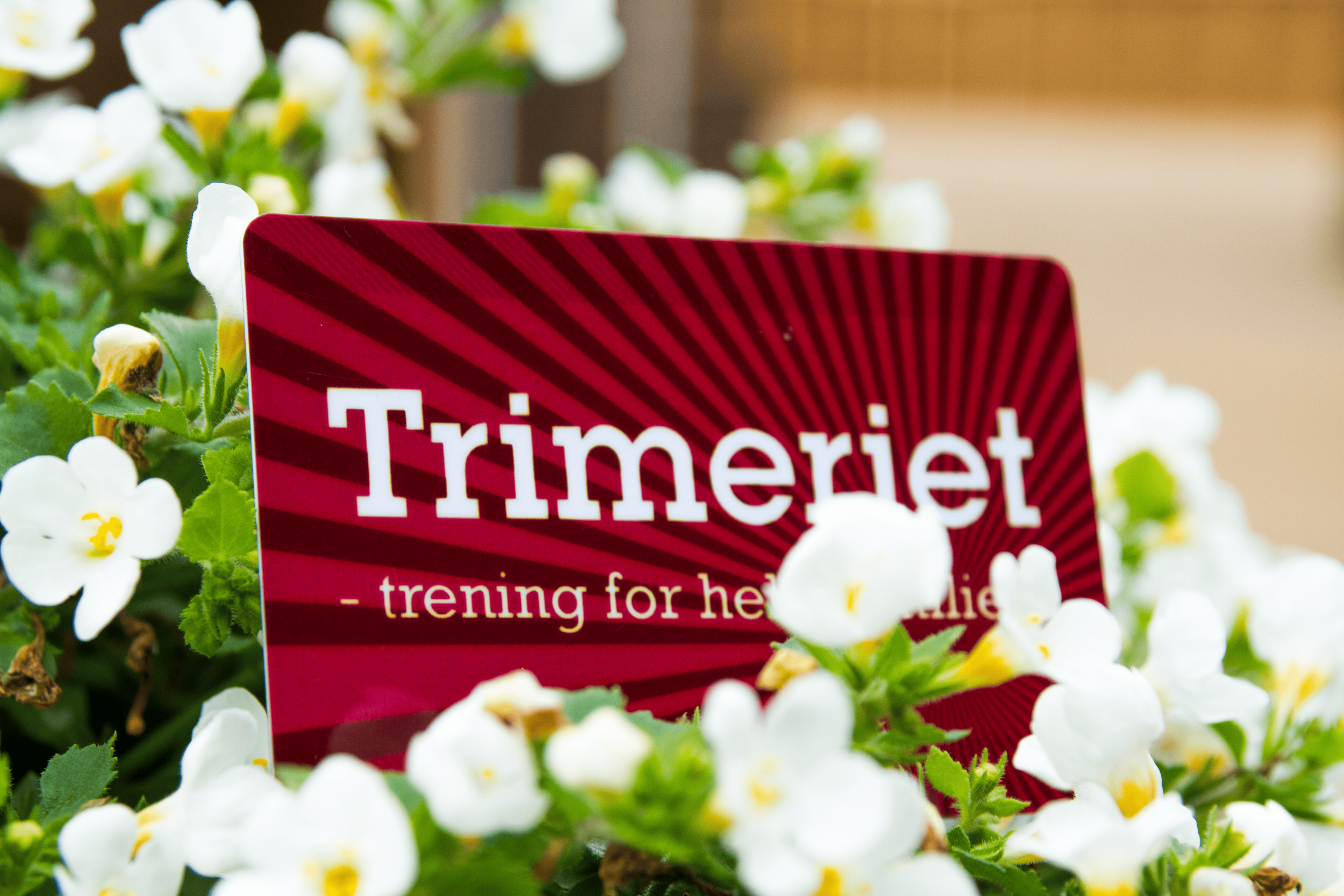 Trimeriet Vormedal medlemskap