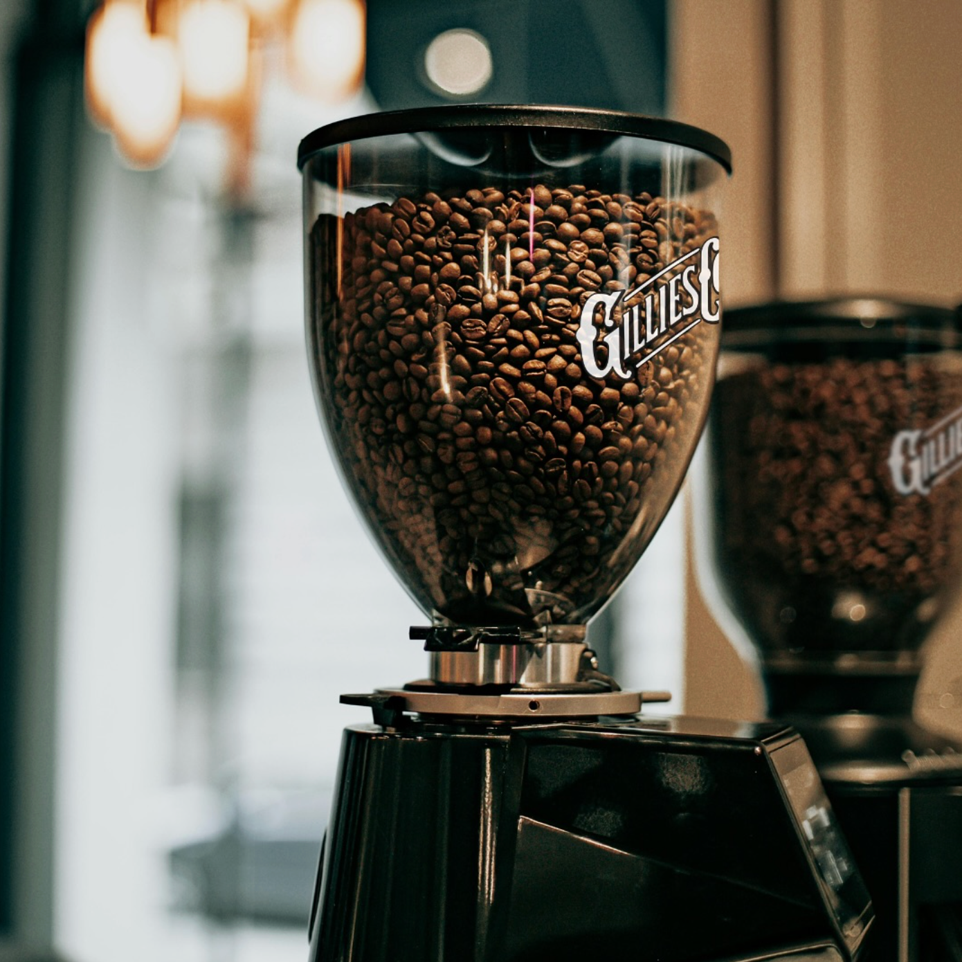 Coffee beans in a clear grinder with the brand name 'Gillies' on it, on a black coffee grinder machine.
