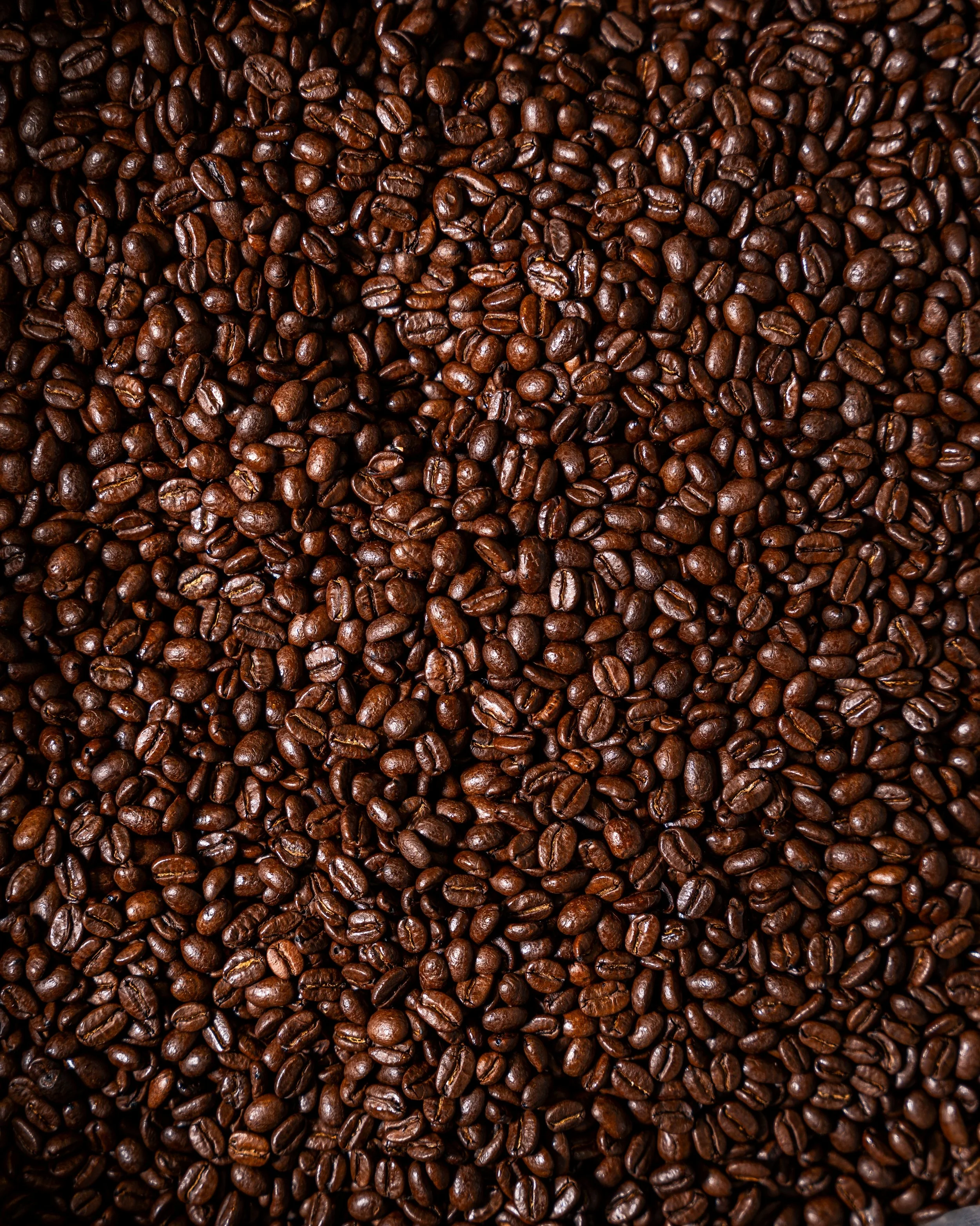 Close-up of roasted coffee beans spread evenly across the surface.