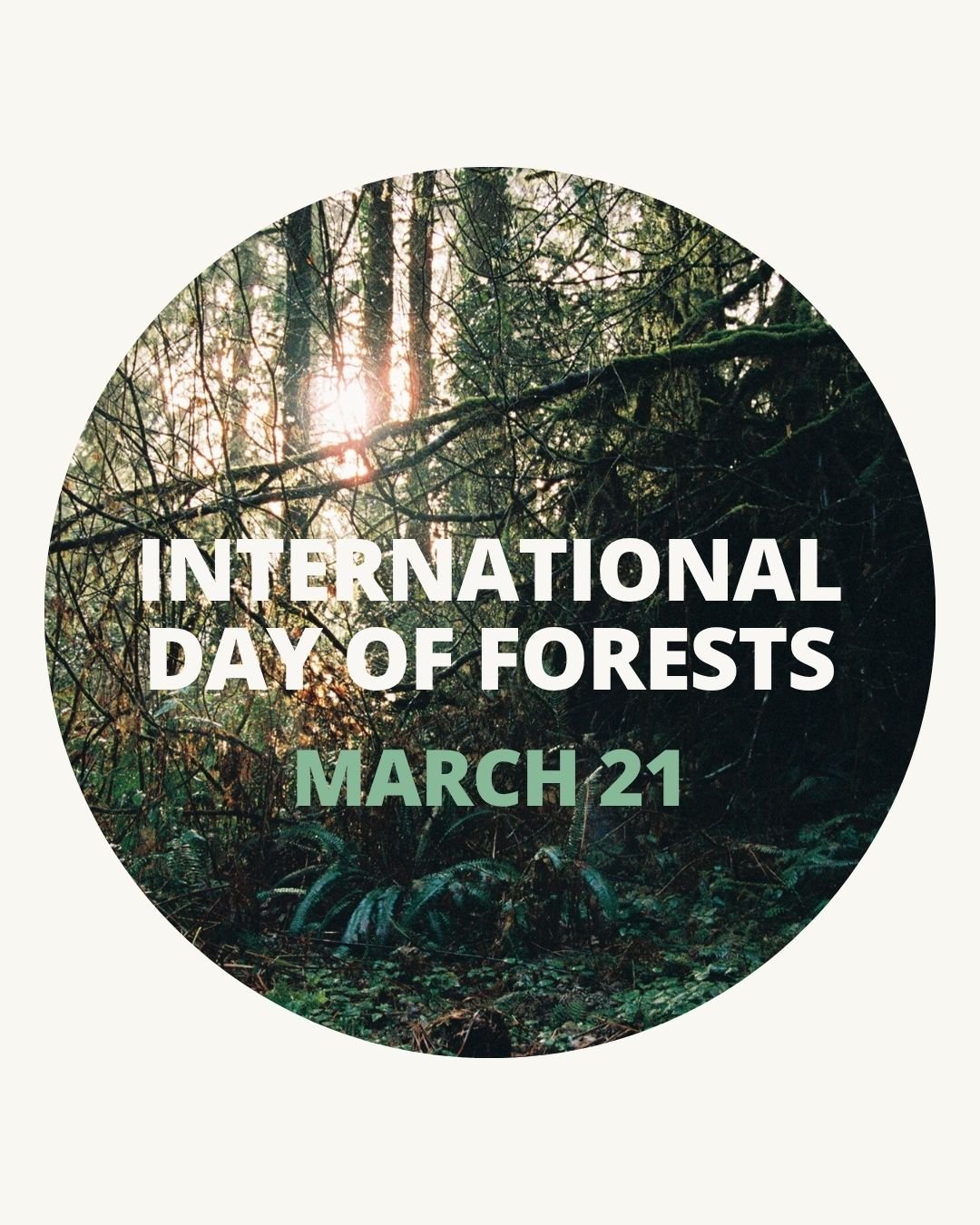 March 21: International Day of Forests