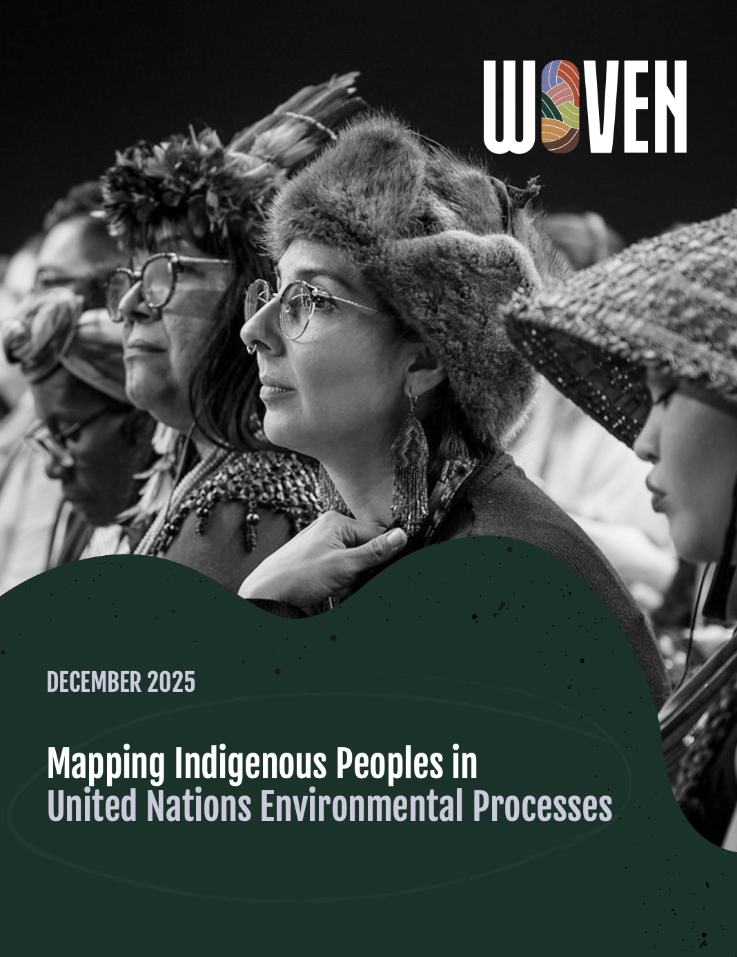 Mapping Indigenous Peoples in United Nations Environmental Process       (ENG Vers.)