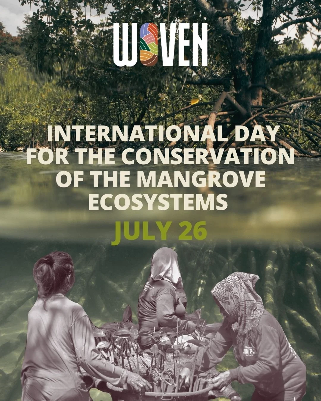 July 26: International Day for the Conservation of the Mangrove Ecosystems