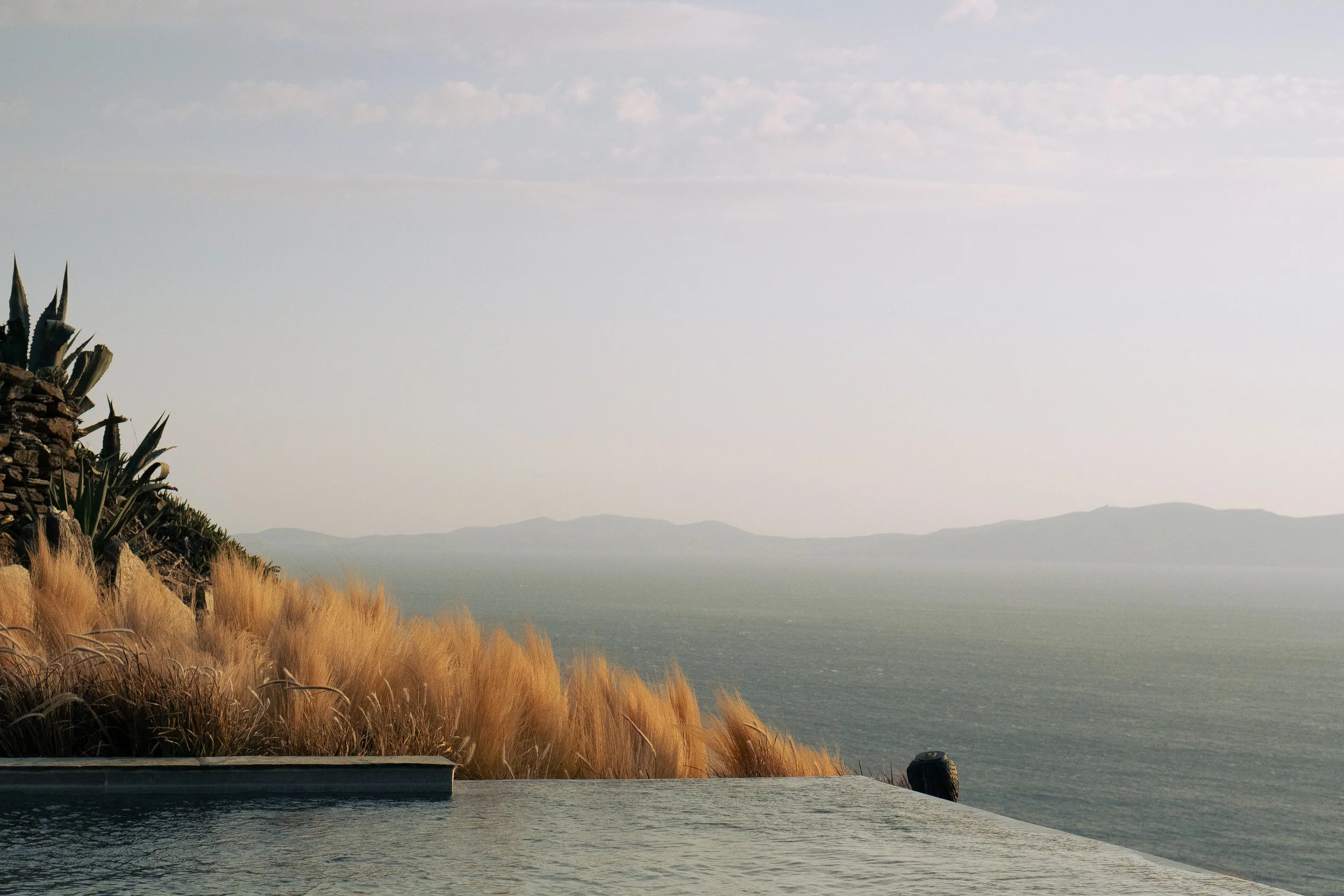 Pool overlooking the Mediterranean, with a border of pampas grass.  
