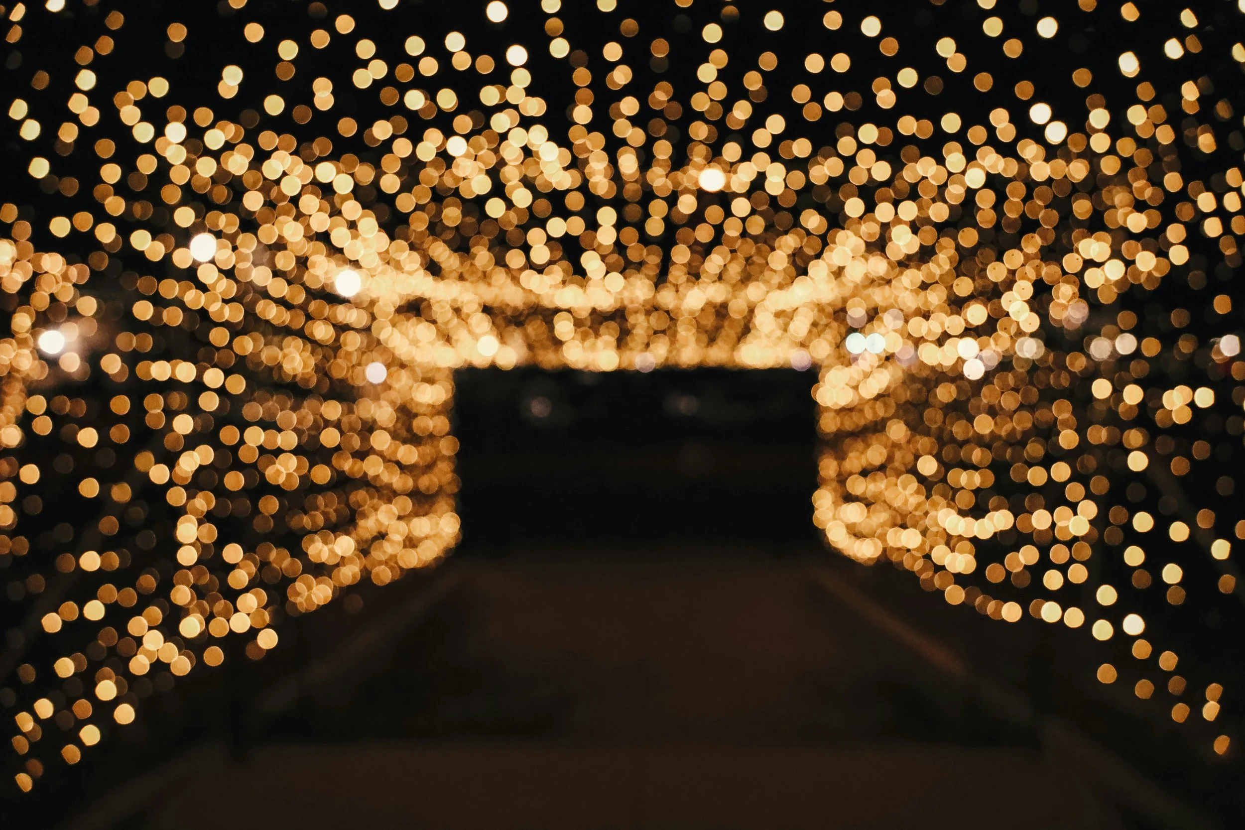 Things to Do in Austin the Week of Christmas