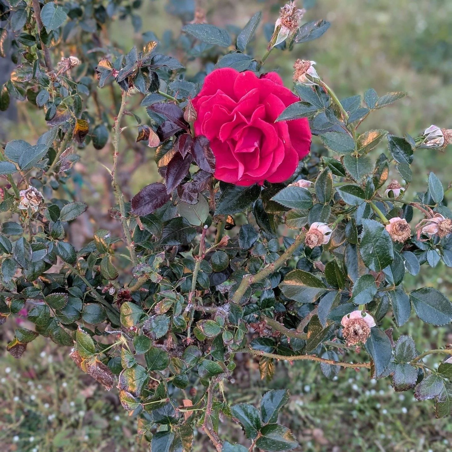 Some days on this journey remind you how beautiful the world is. Others remind you to respect the road. 🚴&zwj;♂️

Yesterday the ride was going great until I turned onto HWY 67. Within minutes trucks were flying past me at nearly 70 MPH. It quickly b
