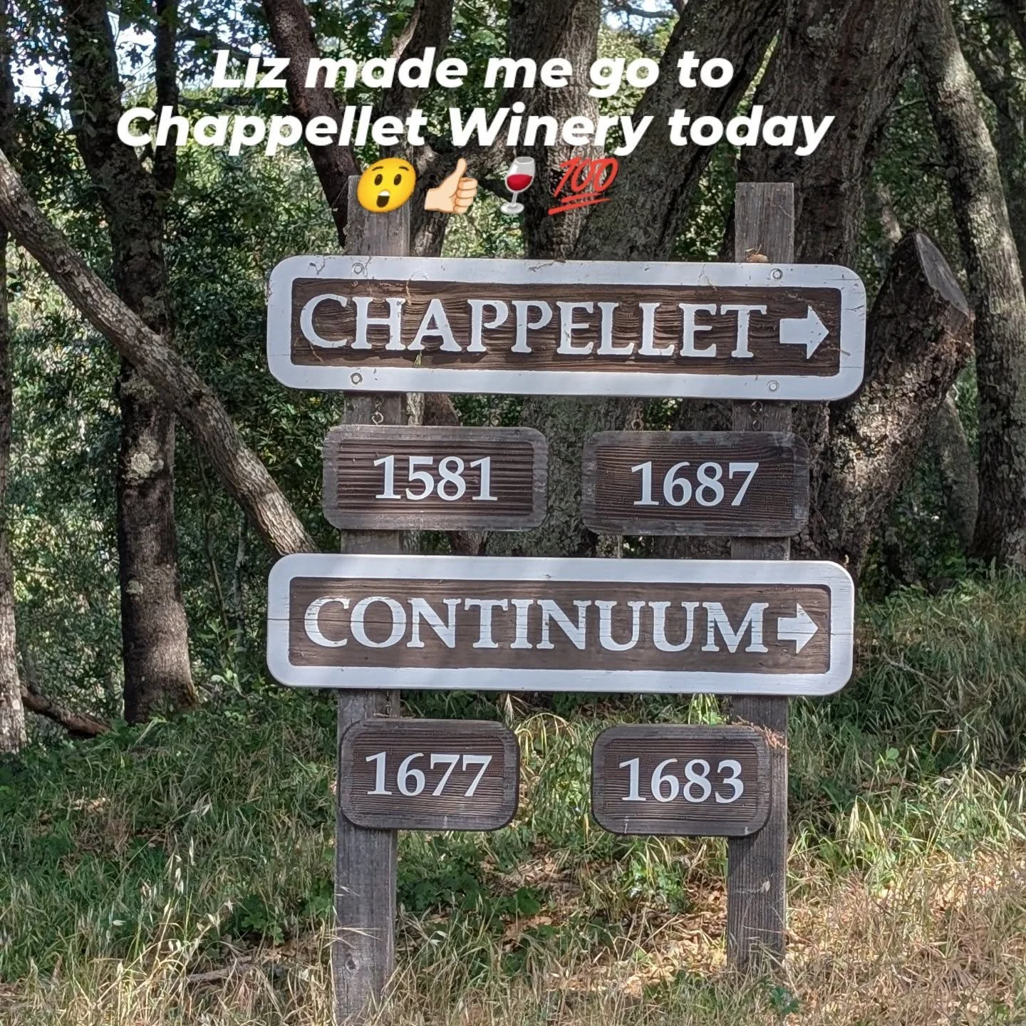 Well, @1956tbird twisted my arm today and said that we need to visit our friends at @chappellet_winery ! 

We had a fantastic visit, thank you Peter for a great visit!

One Dad's Mission will ride again on Monday 🚴🏻