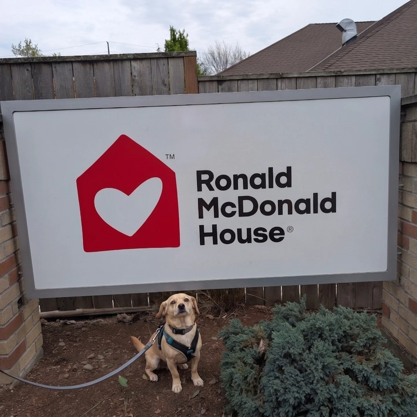 A conversation filled with heart. 💙🎙️✨

In this episode of Shine A Little Kindness, I sit down with Jessica Jarratt Miller, CEO of @ronaldmcdonaldhouseoregon , to talk about the incredible impact @ronaldmcdonaldhouse has on families facing medical 