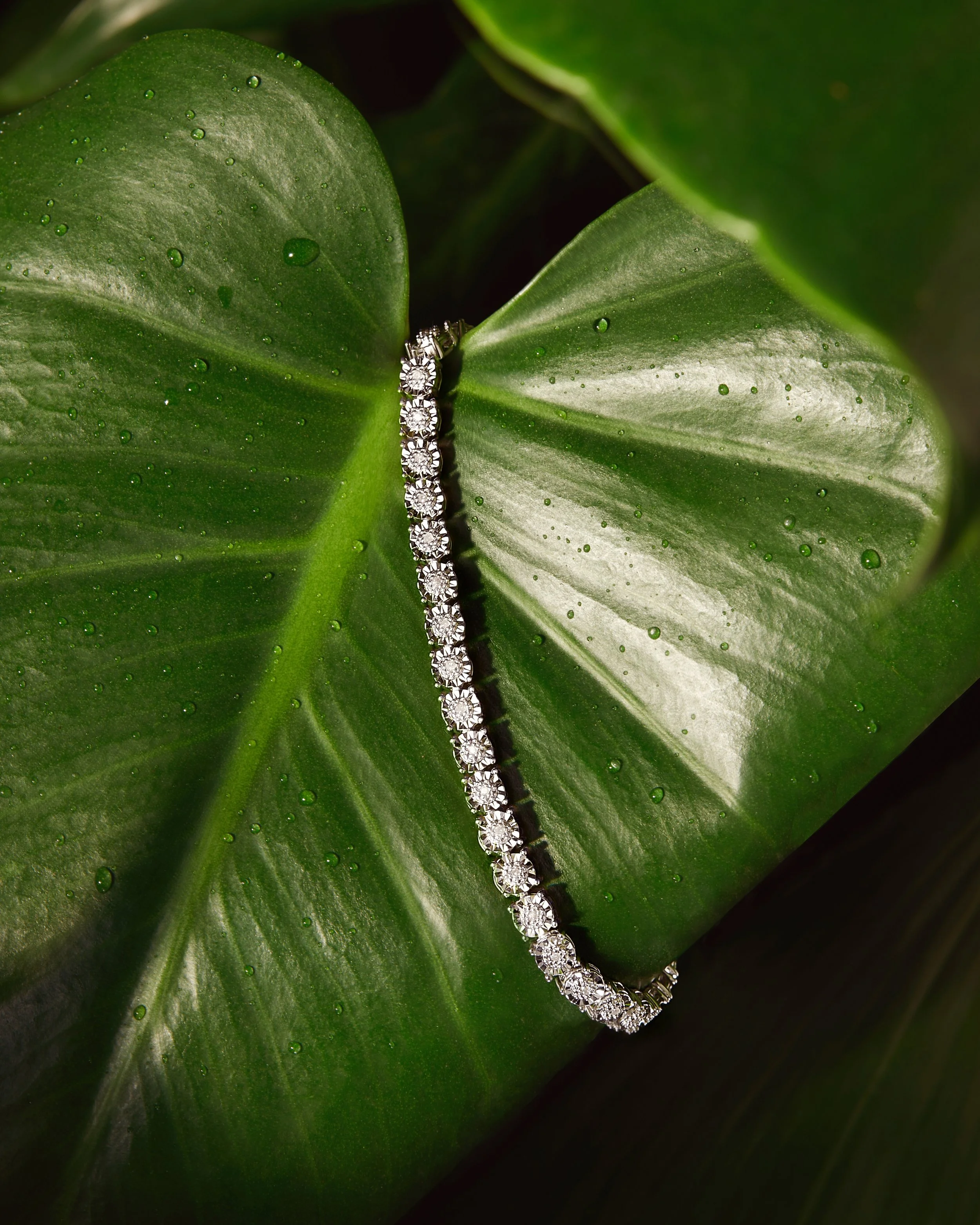 A diamond tennis bracelet draped over a green leafy plant with water droplets.
