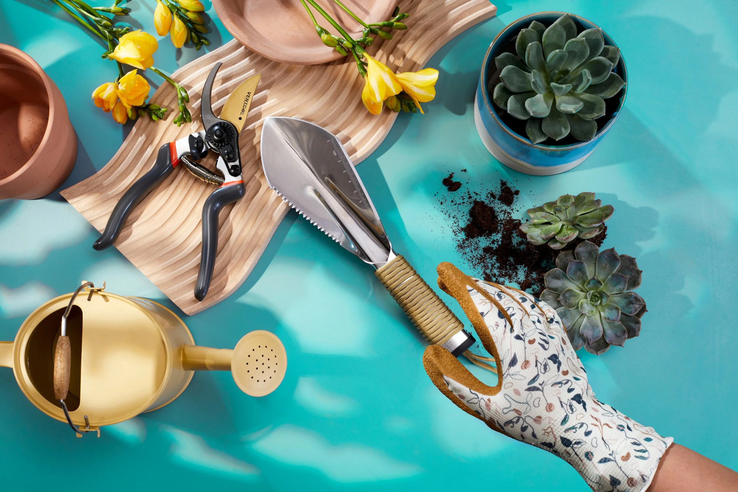 A person wearing a floral gardening glove is using a pruning shear to trim flowering plants on a blue surface. Gardening tools, potted succulents, yellow flowers, a wooden cutting board, and soil are also visible.