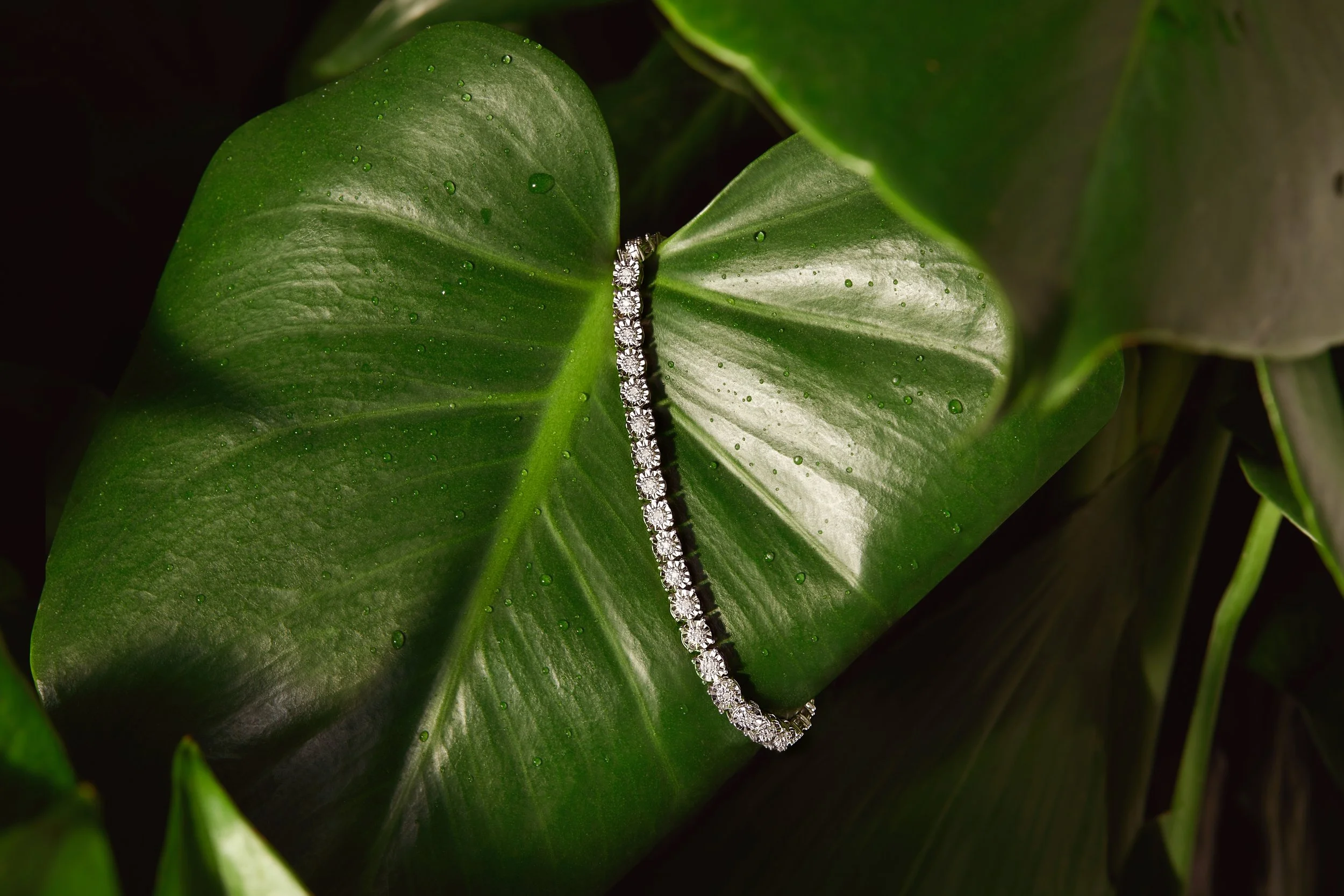 Laurie’s customers, Mariana and Carmen holding hands on a green lawn on their wedding day.
