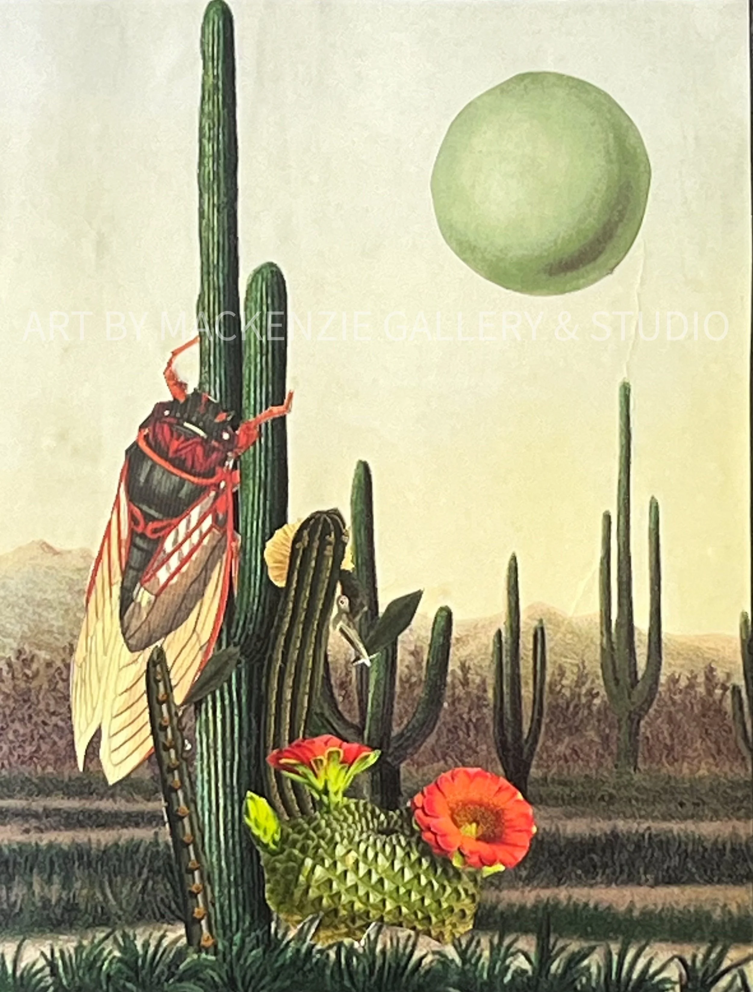 Cicada and the Ostrich