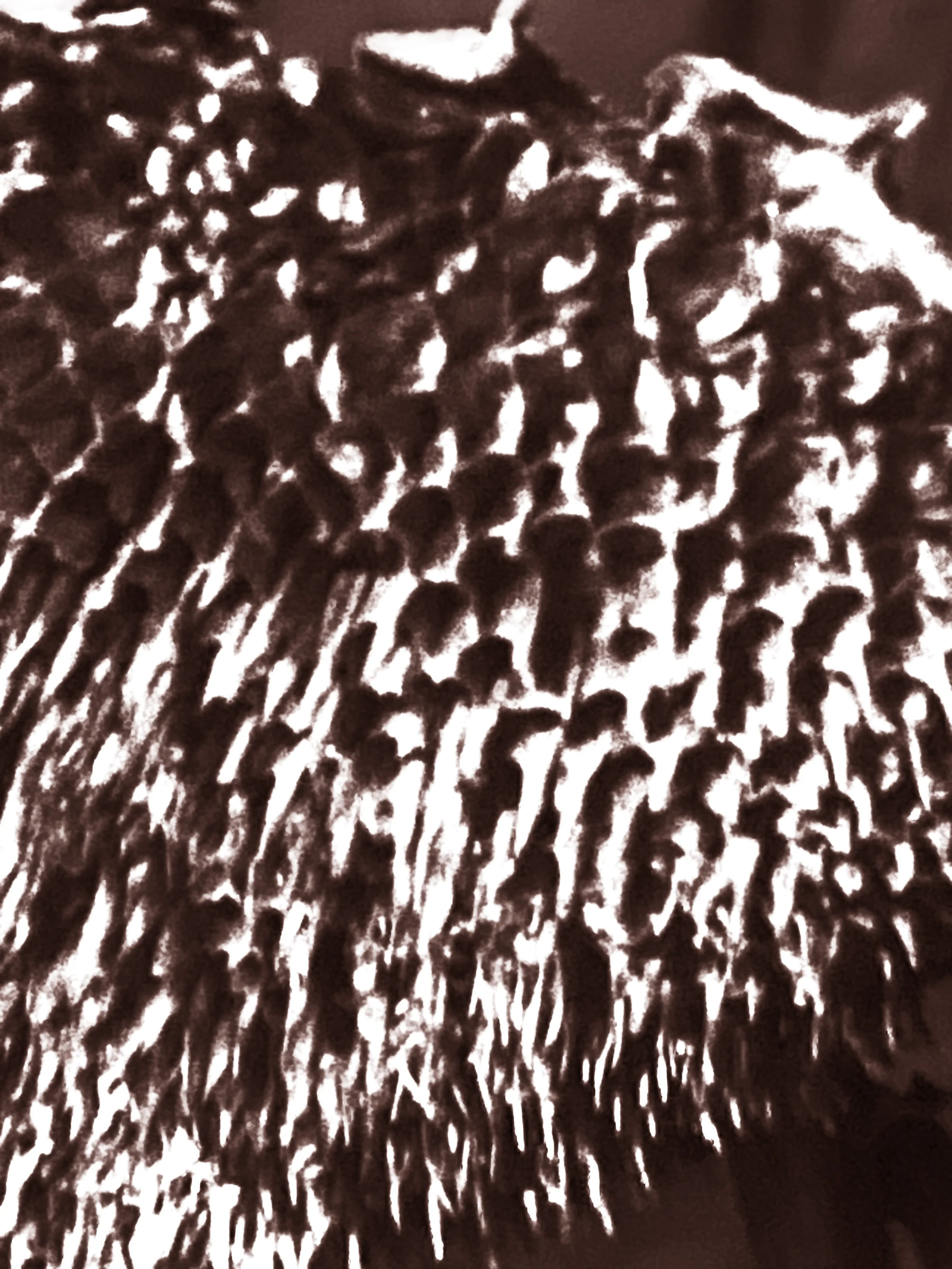 Month 5: Dying Sunflower Sixth