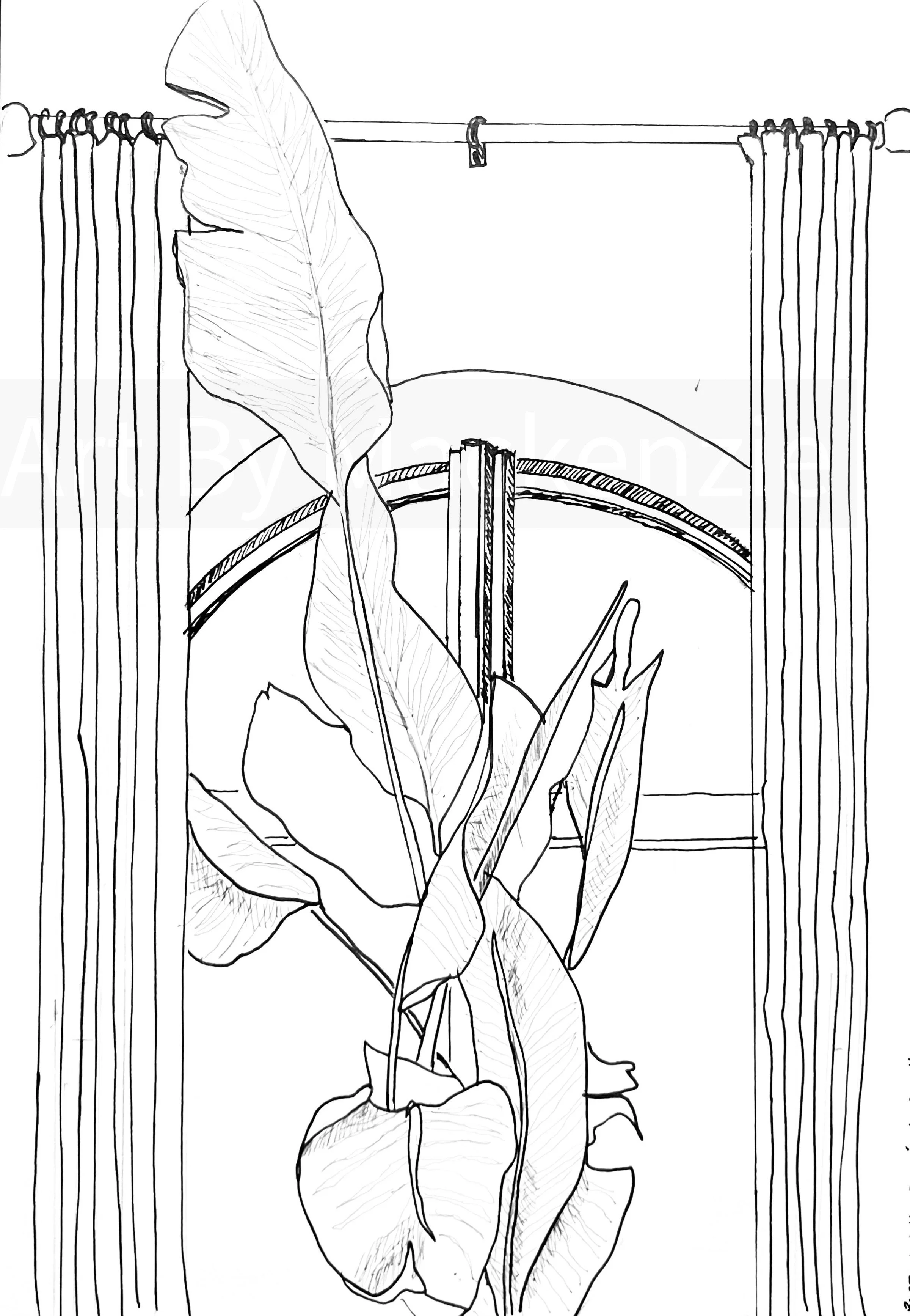 RH Boston: Window View