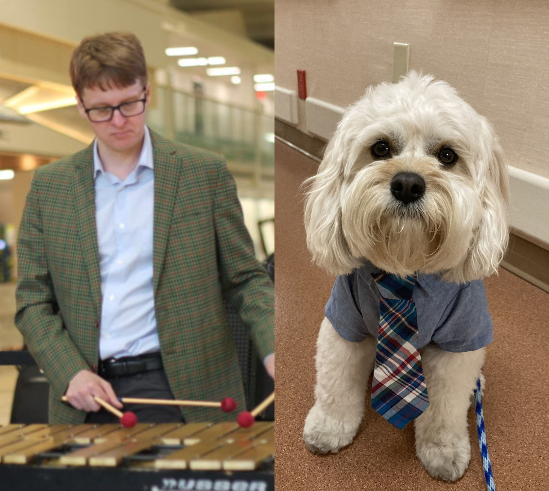 Steve Roehm feat. Carl