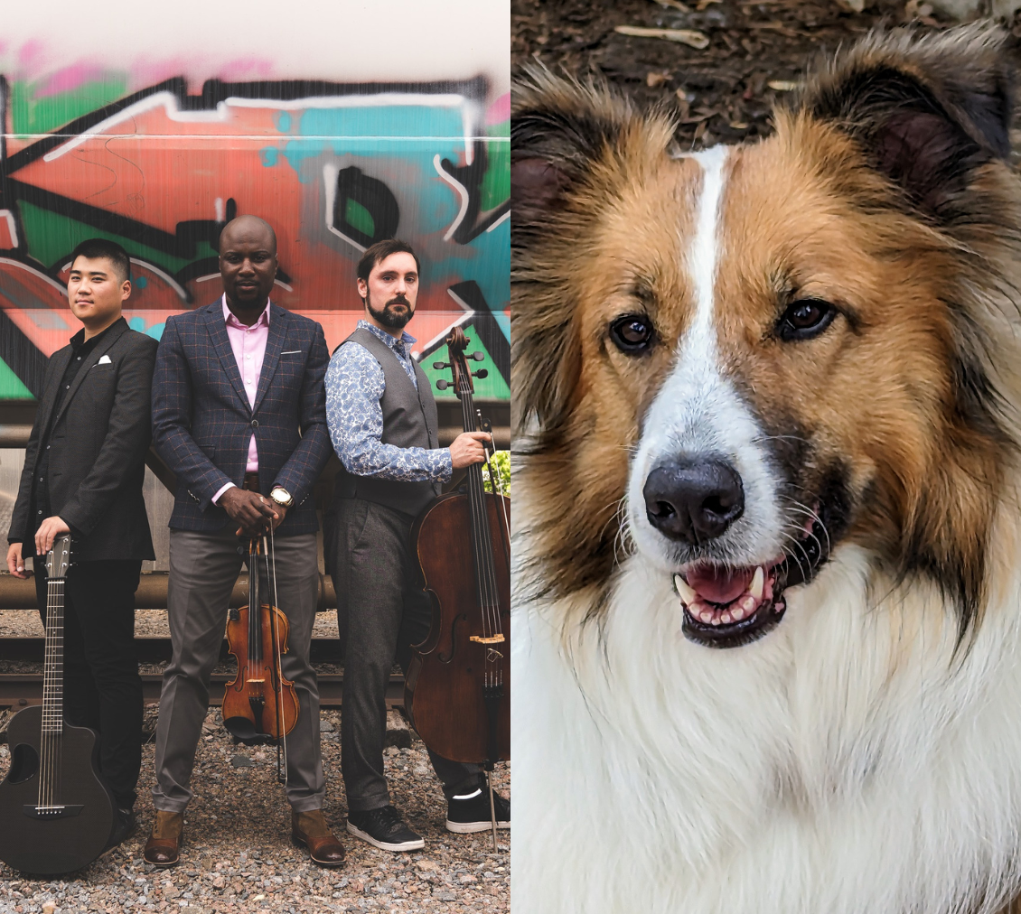 Minneapolis String Project feat. Greta