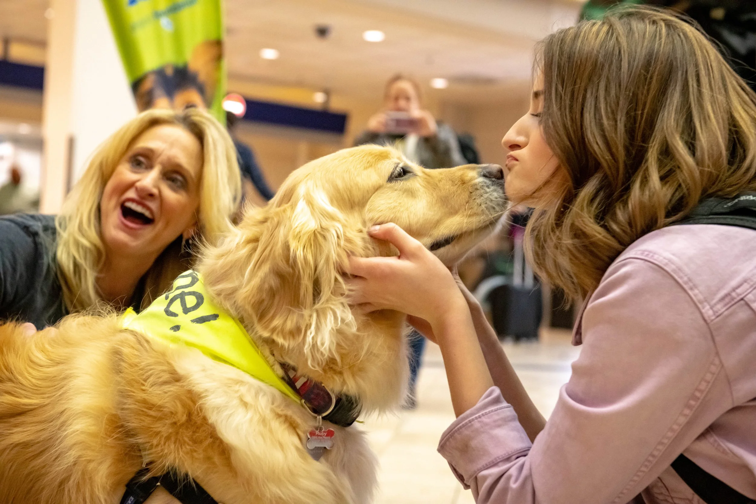 Traveler with an animal ambassador dog
