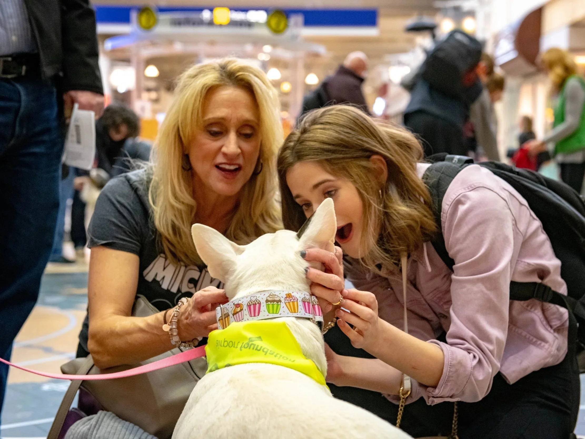 Two travelers bending down and petting an animal ambassador dog.