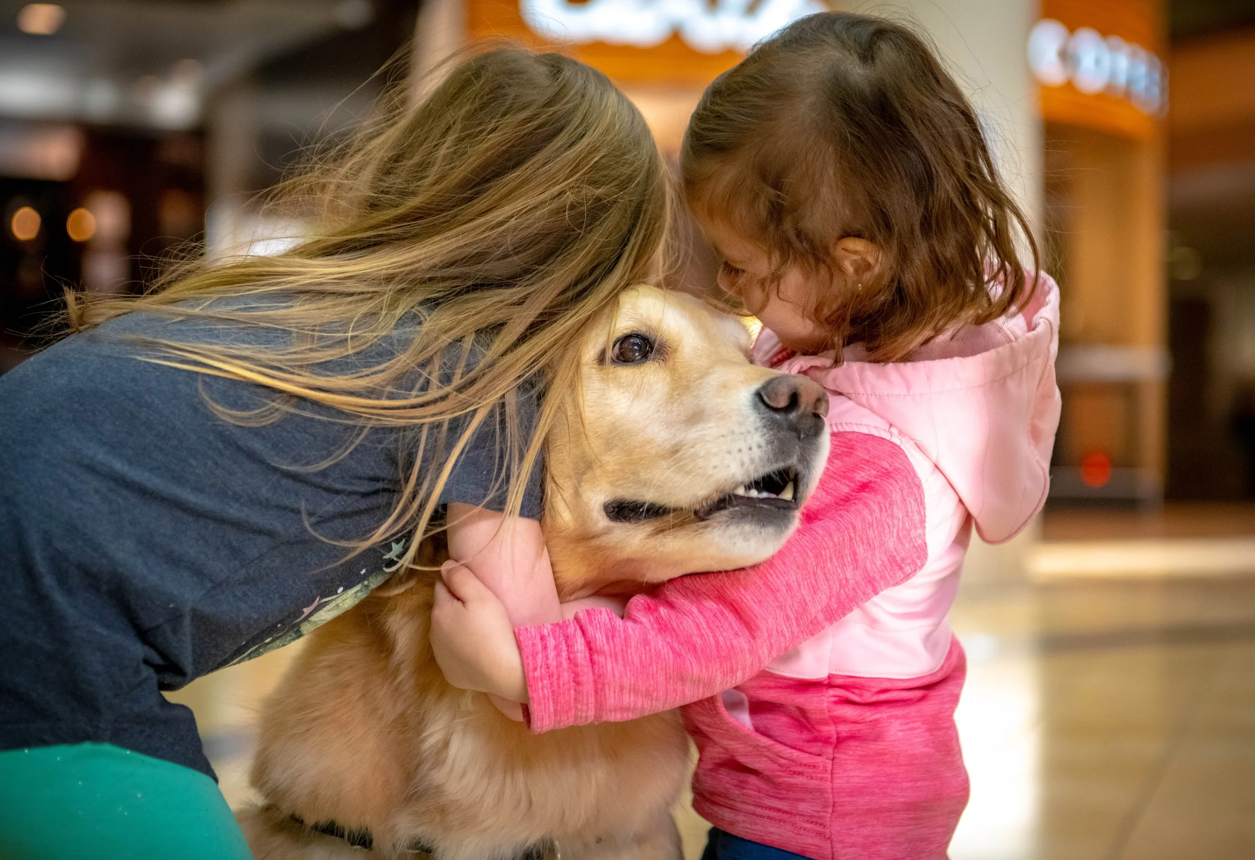 Two young girls hugging a golden retriever therapy dog.