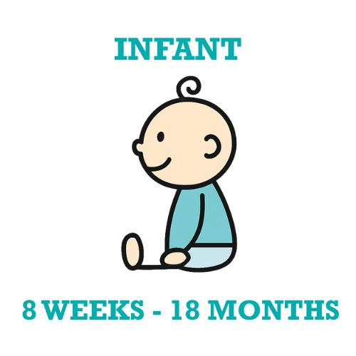 Ossining Children's center OCC Infant Childcare Preschool  8 weeks to 18 months.png