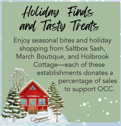 Festive Fair - Holiday Finds and Tasty Treats