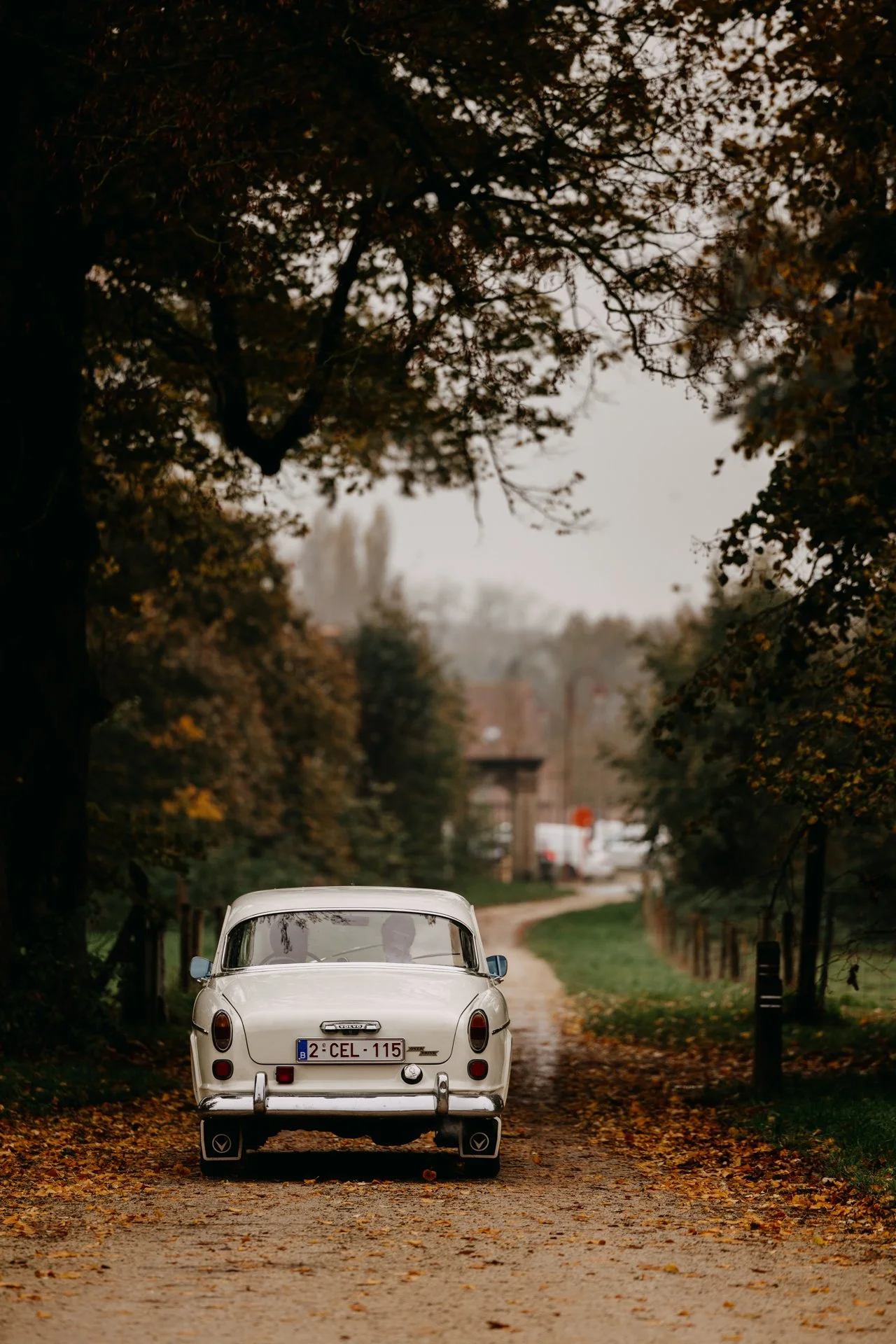 zee (44 of 63).jpg