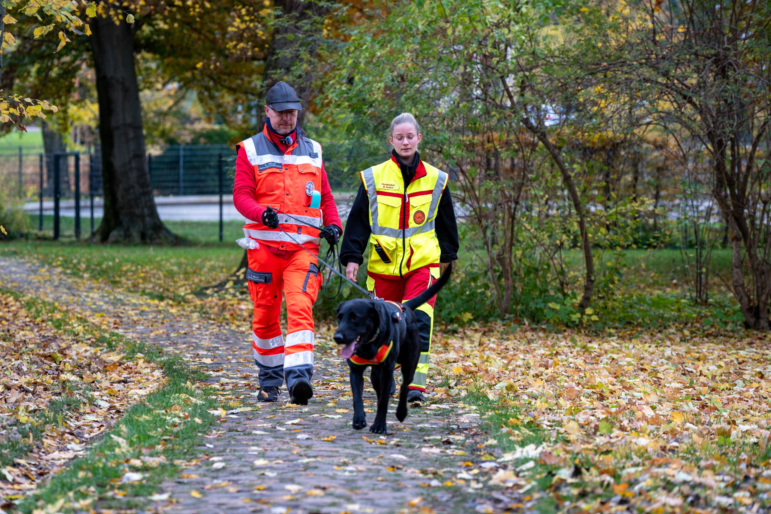 Rettungshunde und Hundeführer trainieren in Weimar Personensuche