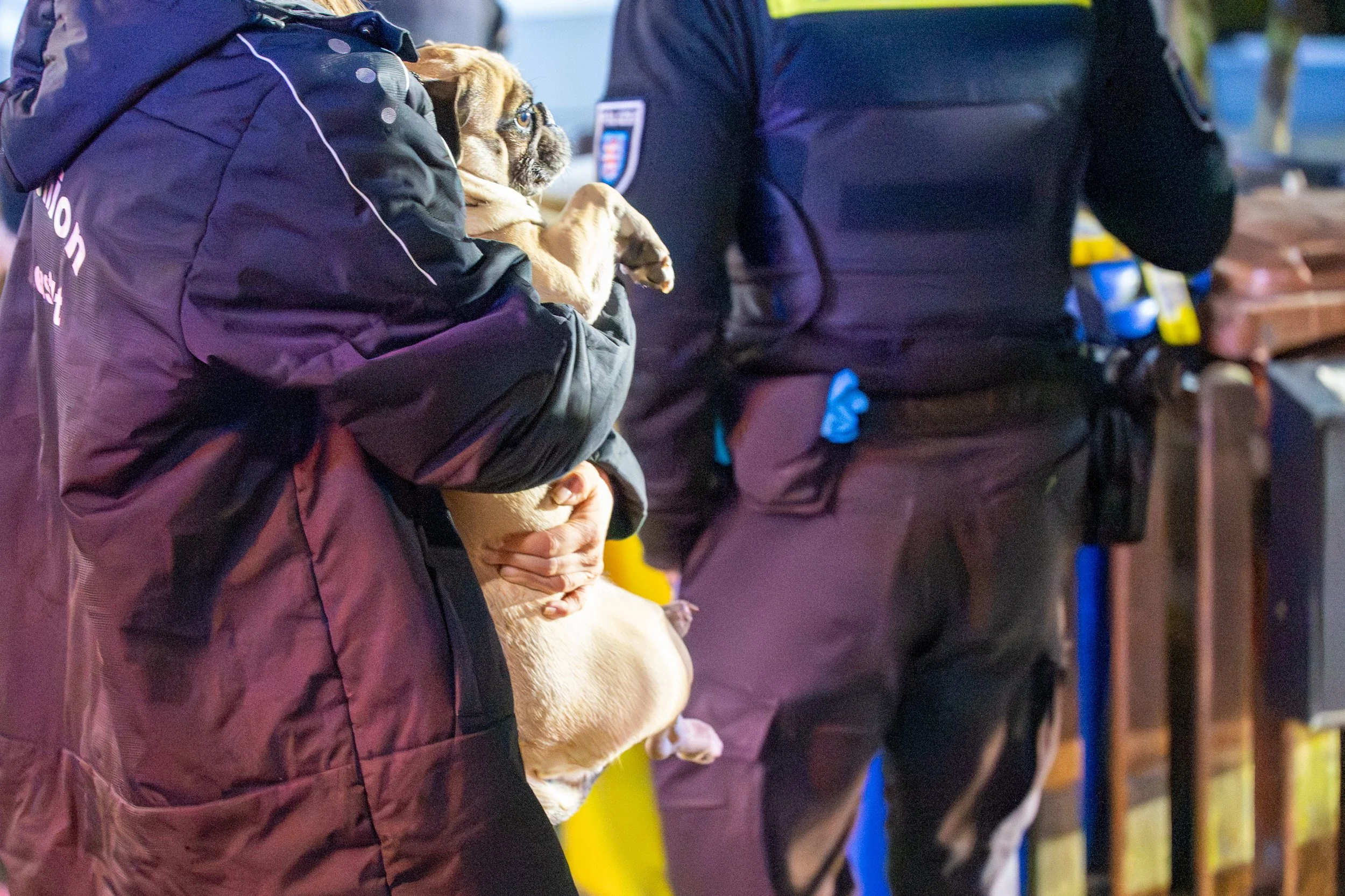 Feuerwehreinsatz in Isserstedt: Frau bei Brand verletzt und Hund durch Feuerwehr gerettet