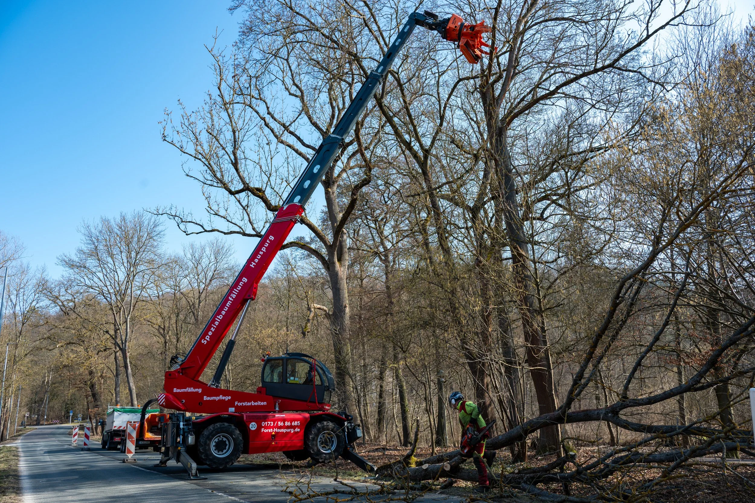Spezialgerät muss vier abgestorbene Eschen im Kurpark Bad Berka fällen