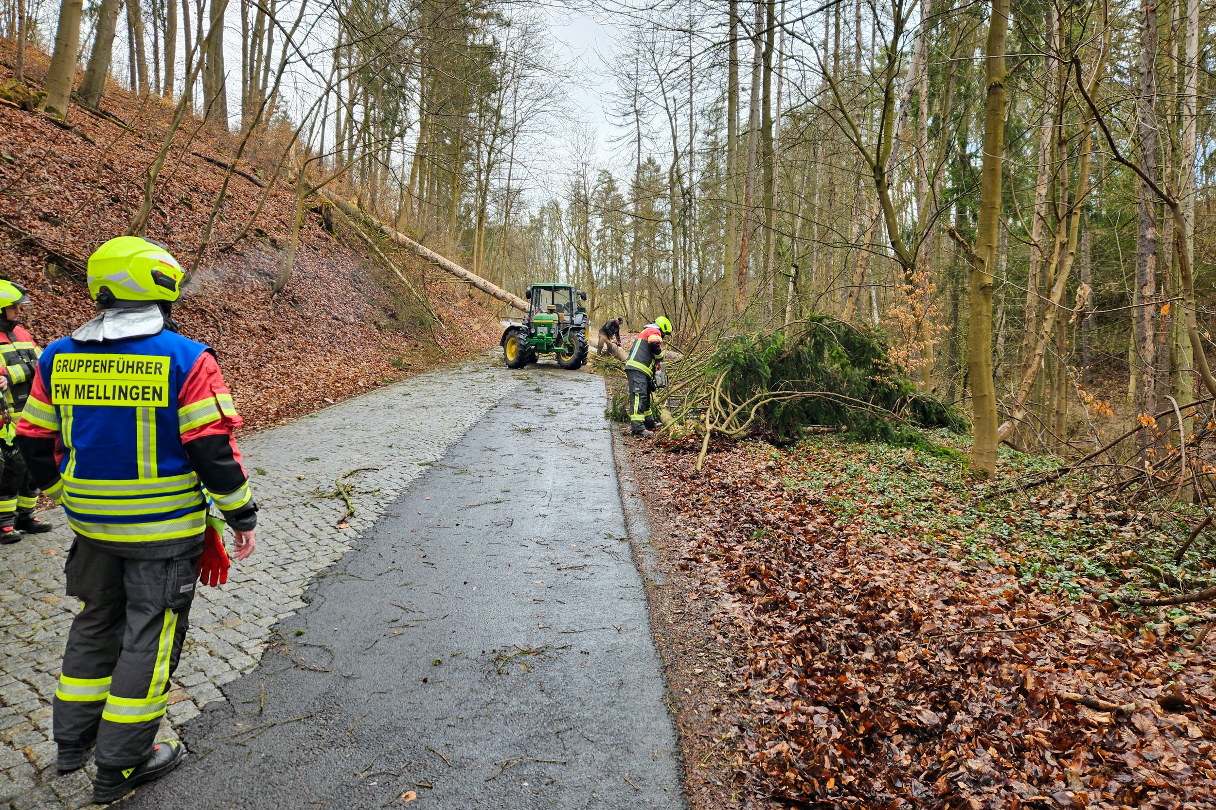 Windböen sorgen für umgestürzte Bäume im Weimarer Land