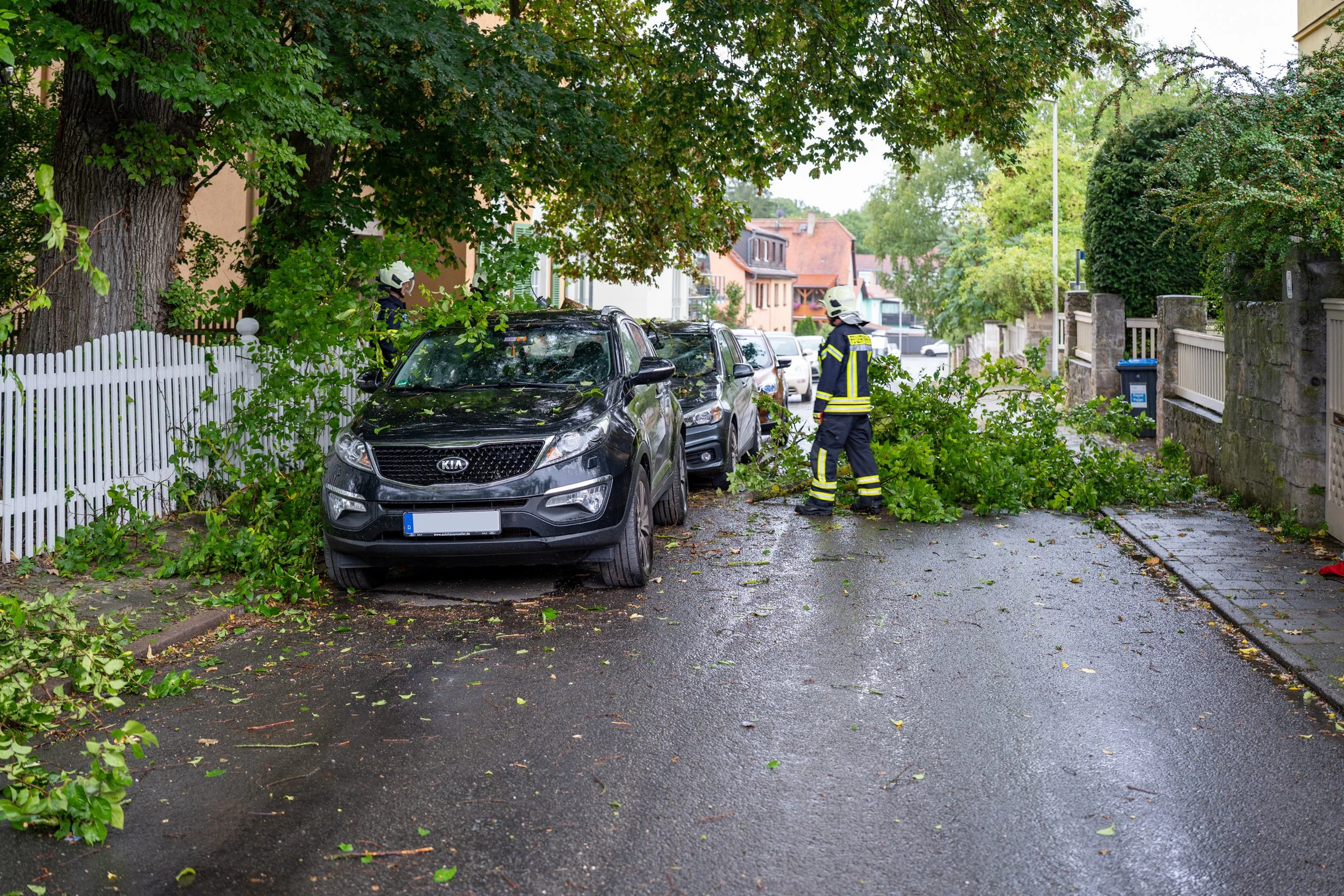 Regen und Sturm über Weimar: Baum stürzt auf Pkws