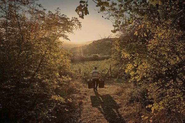 We have a host of amazing wine importers coming to LOW to pour their wines. @keelingandrewco is the wine import arm from the founders of Noble Rot magazine and restaurant, Mark Andrew &amp; Dan Keeling. From rare and highly sought after wines from Bu